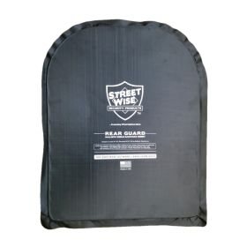 Blackhawk Low Vis Hard Plate Carrier (Style: Large + 2 Plates)